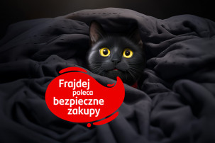 Bezpieczeństwo na zakupach online… czyli jak nie kupić kota w worku?